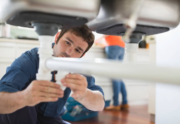 Best Clogged Drain Plumber  in Carthage, MO
